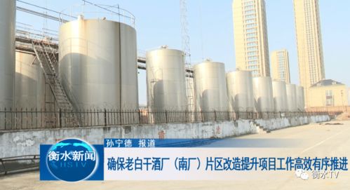科學(xué)統(tǒng)籌與精心勘察 高效推進(jìn)老白干酒廠南廠片區(qū)改造提升中的文物保護(hù)工程